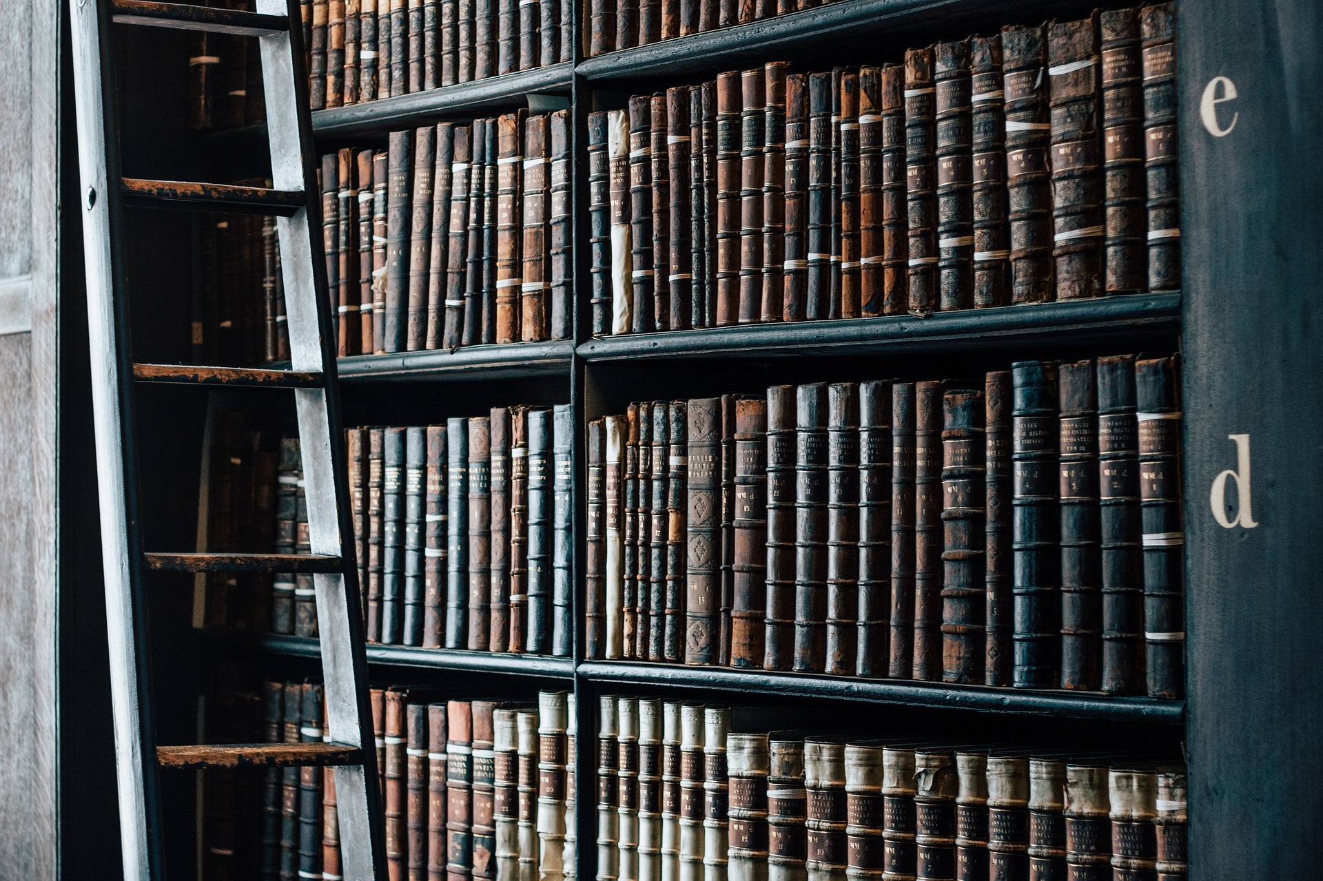 図書館